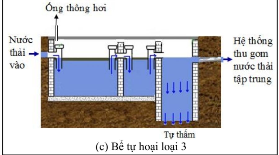 Quy trình xử lý nước thải trong bể phốt tự thấm