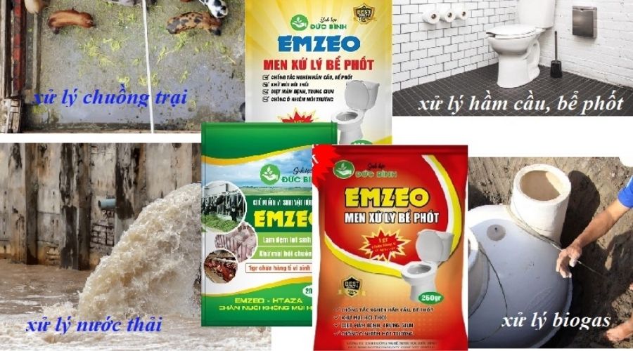 men xử lý hút bể phốt win
