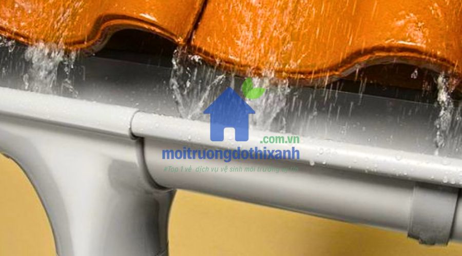 Lá cây và rác gây nghẹt ống thoát nước mưa