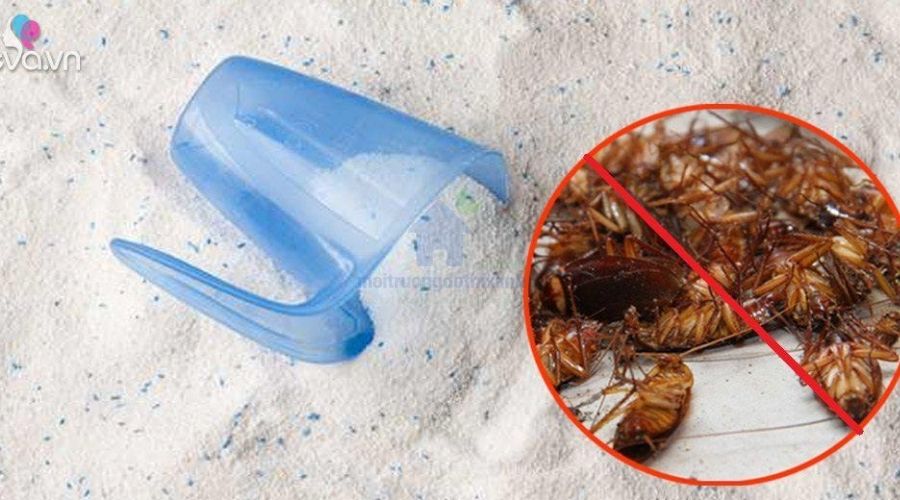 Bột thông tắc bồn cầu mua ở đâu uy tín?