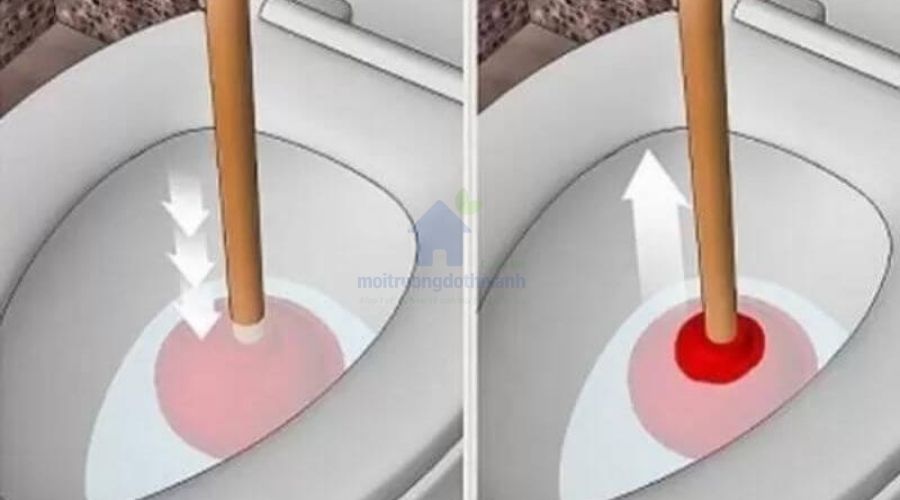 Cây thông bồn cầu mini tiện dụng