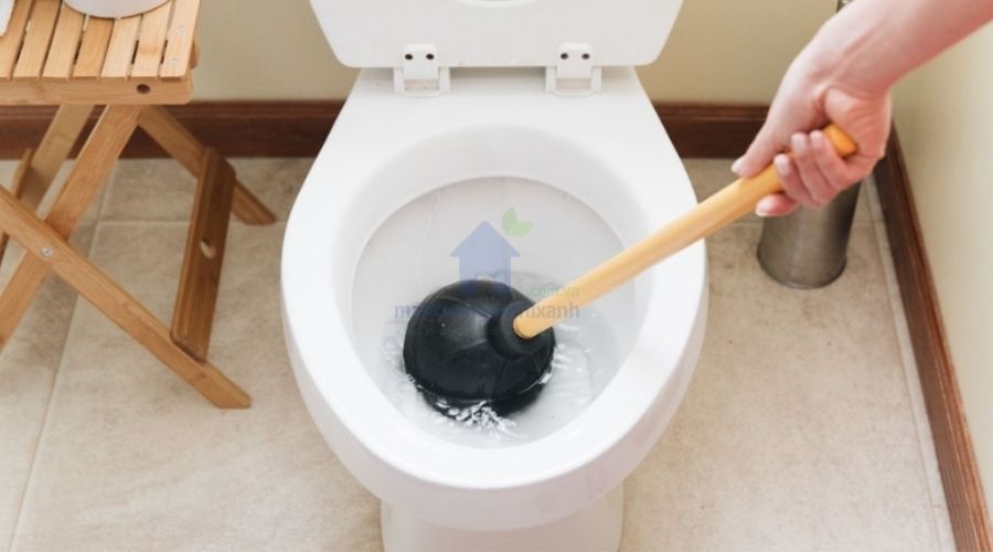 Cây thông bồn cầu lò xo cầm tay