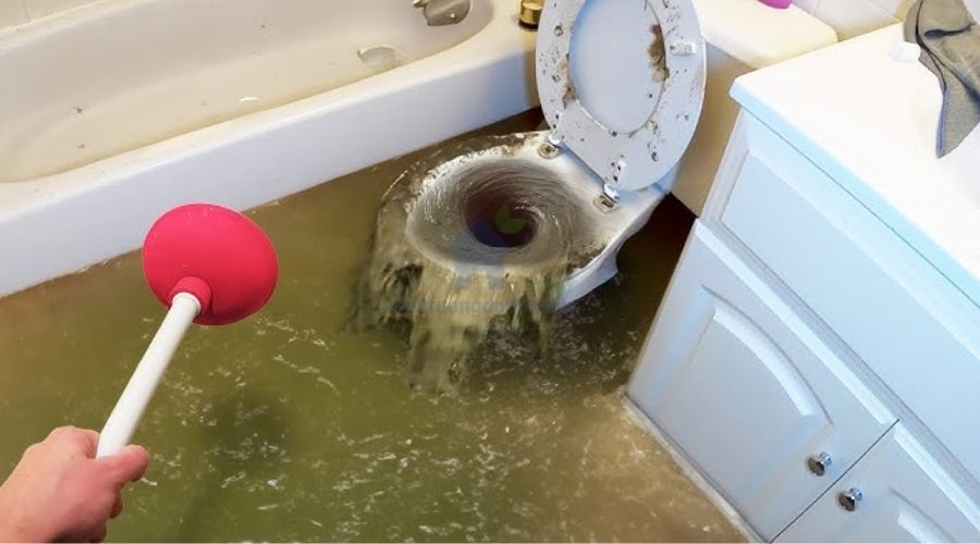 Quy trình xử lý bồn cầu bị trào ngược từ A–Z