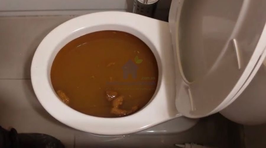 Bồn cầu bị tắc không thoát nước? 4 cách xử lý nhanh chóng