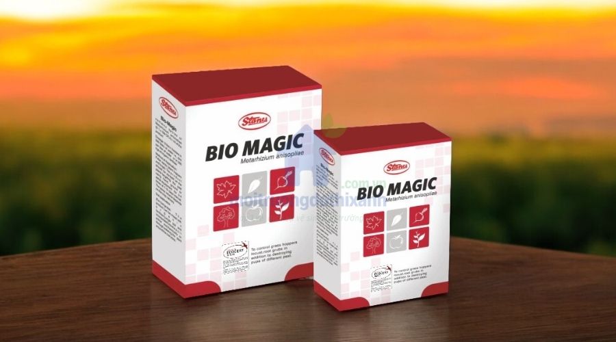 Hướng dẫn dùng viên thông tắc bồn rửa bát đúng cách