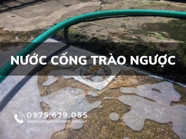nước cống nghẹt và trào ngược lại