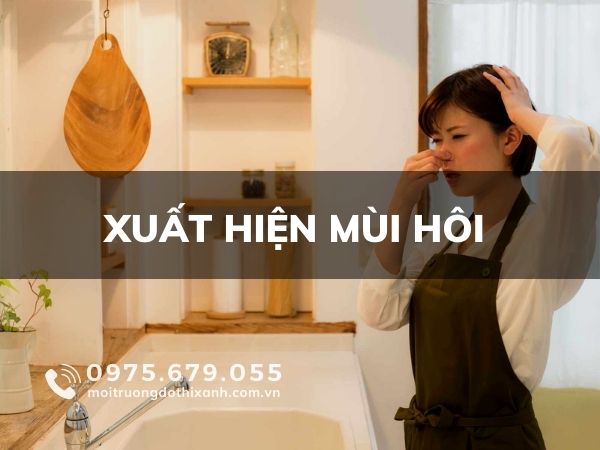 mùi hôi xuất hiện ở khu vực nắp cống